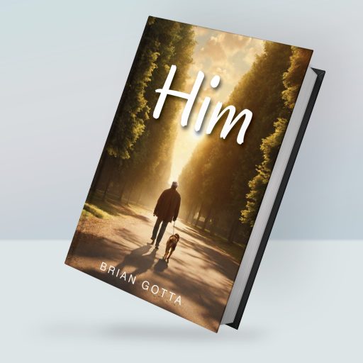 Review of Him&nbsp;Novel